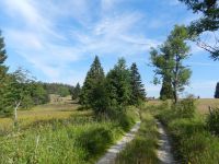 060-Weg-auf-1000-m-Hoehe-in-Richtung-Hinterscheuereck---ft