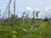 067-Vom-Turm-am-Mittagsberg-Polednik-wurden-einst-westliche-Militaerobjekte-ueberwacht---ft