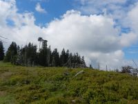 069-Heidelbeerparadies-am-Mittagsberg-Polednik---ft
