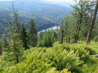 091-Der-Rachelsee---entstanden-als-eiszeitlicher-Karsee-nach-Abschmelzung-des-Rachelgletschers---bm