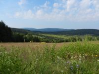 097-Blick-ins-Tal-des-Kieslingbaches-Kremelnatal---teilweise-steht-es-unter-strengem-Nationalparkschutz---ft