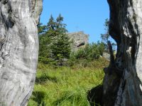 103-A-bsonderer-Durchblick-zum-Scheuereckberg---ft