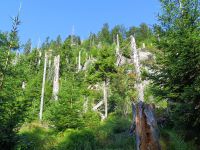 107-Baerenriegel---Randberg-im-Tal-des-Grossen-Schwarzbachs---bm