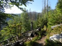 114-Nordkarsteig-zu-den-Racheln---der-wildeste-Anstieg-zum-zweithoechsten-Woid-Berg---ft