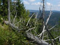 119-Nordkarsteig-mit-Blick-zum-einstigen-Radarbeobachtungsturm-Mittagsberg-Polednik---ft