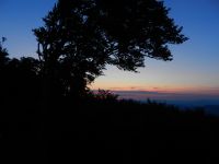 121--am-Hirschenstein-in-der-Morgendaemmerung---ft