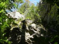 144-Brutplatz-von-Wanderfalken-im-Hoellbachgspreng---ft