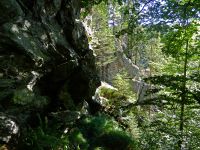 145-durchs-Hoellbachgspreng-zieht-ein-anspruchsvoller-Steig-zum-Falkenstein---ft