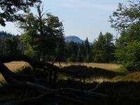 161-Kohlschachten-mit-Durchblick-zum-Kleinen-Rachel---ft