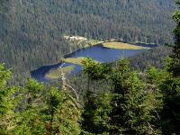 166-Kleiner-Arbersee-mit-den-schwimmenden-Inseln-im-Zoom---ft