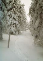 Bild01