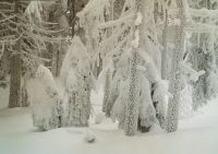 Bild02