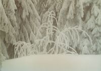 Bild03