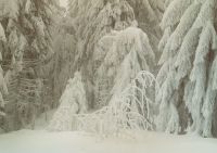 Bild04