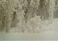 Bild05