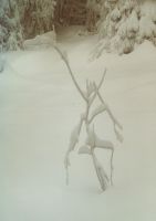 Bild07
