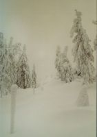 Bild08
