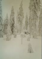Bild09