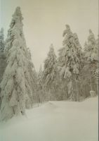 Bild10