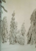 Bild11