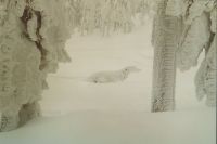 Bild13