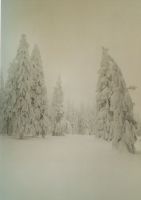 Bild16