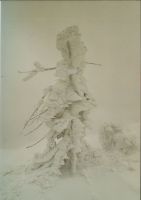 Bild17