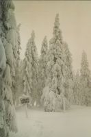 Bild18