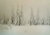 Bild19