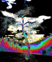 06_Tanzender_Waldgeist_in_Ekstase_nn_-_Kopie