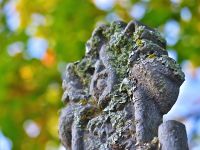 020-Erinnerung-an-vergangene-Zeiten-im-Boehmerwald---bm