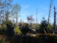 026-es-herbstelt-am-Mittagsberg-Polednik---ft