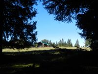 032-das-Weidevieh-wurde-abgetrieben---am-Hochzellschachten-ist-Ruhe-eingekehrt---ft