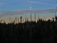 035-Kurz-vor-Sonnenaufgang-am-Boehmweg-unterm-Lusen---einen-Tag-nach-Vollmond---bm