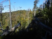 044-der-Blick-schweift--vom-Klein--zum-Grossalmeyerschloss---ft