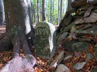 062-Radtour-Kubany---Wolfstein---1894-wurde-der-letzte-Wolf-des-Boehmerwaldes-geschossen-bm