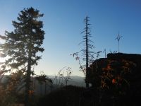 077-und-letzte-Bilder-vom-Kiesruck-in-fast-schon-normalem-Licht---ft