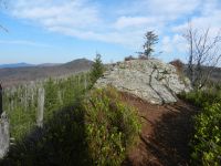 091-Vom-Sulzriegel-hat-man-Lusen-und-Rachel-im-Blick---ft