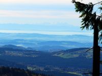 101-Dachsteinblick-vom-Grenzkamm---bm