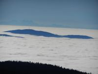 107-ein-Meer-zwischen-Wald-und-Alpen---Brotjacklriegel-eine-Insel---am-jenseitigen-Ufer-der-Dachstein---ft