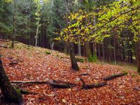 110-Am-Schulweg-bei-den-Schwarzbartlhf-in-Hamry-Hammern---bm