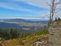 1113-Blick-ins-Zellertal-vom--Oedriegel---bm