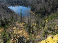 118-Rachelwand-unter-der-Kapelle---durch-sie-fuehrte-frueher-der-Horizontalsteig---ft
