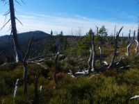 126-Blick-ueber-d-Stoafleck-Huettn-zum-Lusen---ft