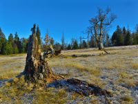 127-Frostiger-Morgen-auf-der-Poschinger-Alm---bm
