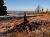 128-Weit-geht-der-Blick-hinaus-von-der-Alm---bm