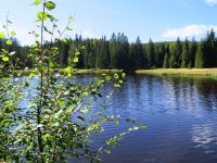 Hiagst19_005_Was_fuer_a_Nam_-_Elendbachlschwelln