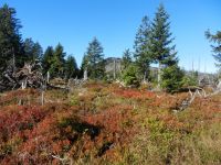 Hiagst19_010_am_Rachelgrenzsteig