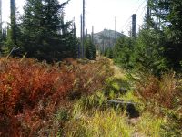 Hiagst19_013_Lusenblick_vom_Steig_zum_Kirchlinger_Stand