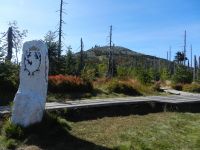 Hiagst19_014_Grenzstoa_am_Marchfleck_-_Hohheitszeichen_wia_Grenz_no_wirkli_Grenz_war